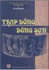 Thap dong Dong Son.jpg