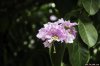 4554c74e1195c1.img.jpg