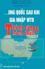 TRUNG QUOC SAU KHI GIA NHAP WTO THANH CONG VA THU THACH.jpg