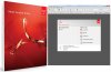 acrobat11.jpg