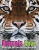 Animals Alive - (2011).jpg