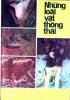 04 nhung loai vat thong thai.jpg