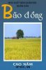 bão đồng.jpg