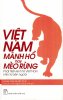 VIET NAM MANH HO HAY MEO RUNG_B.jpg