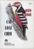 doi song cac loai chim.jpg