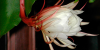 upload_2018-8-10_11-30-28.png