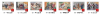 Image 001.png