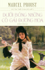 duoi bong.png
