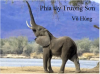upload_2020-3-3_16-28-41.png