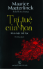 trituecuahoa.png