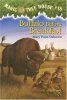 buffalo-before-breakfast.jpg