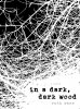 in-a-dark-dark-wood.jpg