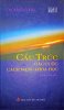 cau-truc-cac-cuoc-cach-mang-khoa-hoc-thomas-kuhn.jpg