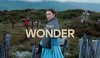 The-Wonder-Movie-Review.jpg