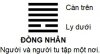 KD_Que13-DONGNHAN.jpg