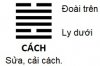 KD_Que49-CACH.jpg