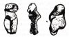 NuThanPhonThuc.jpg