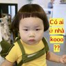 xanh44