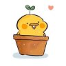 Hasu Chan