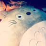 Lynk_xu