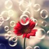 huong_cua_gio