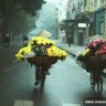 duc_hoang_2023