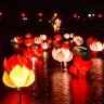 hoahong_honghoa
