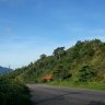 suongdem