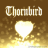 littlethornbird