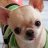 chichi.myluckycharm